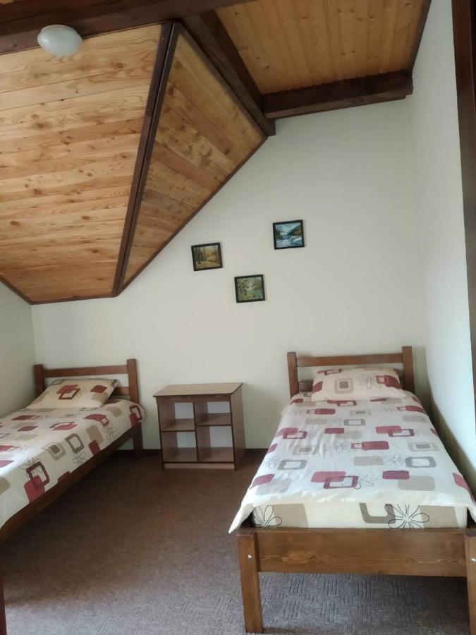 Гірська Палітра Slavsko Extérieur photo