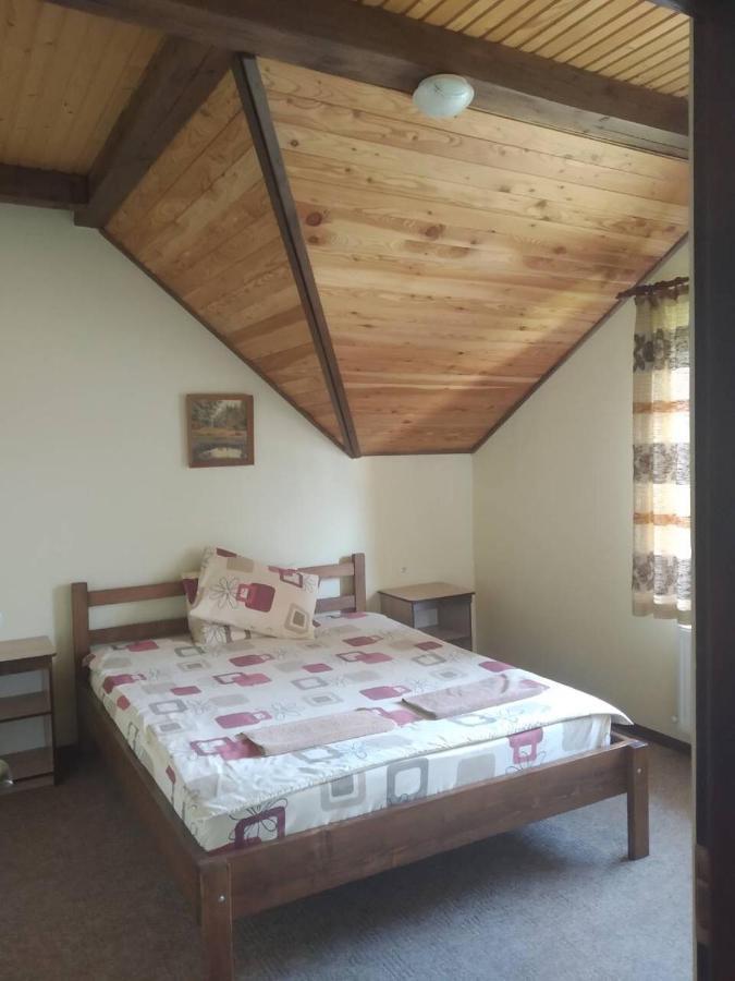 Гірська Палітра Slavsko Extérieur photo